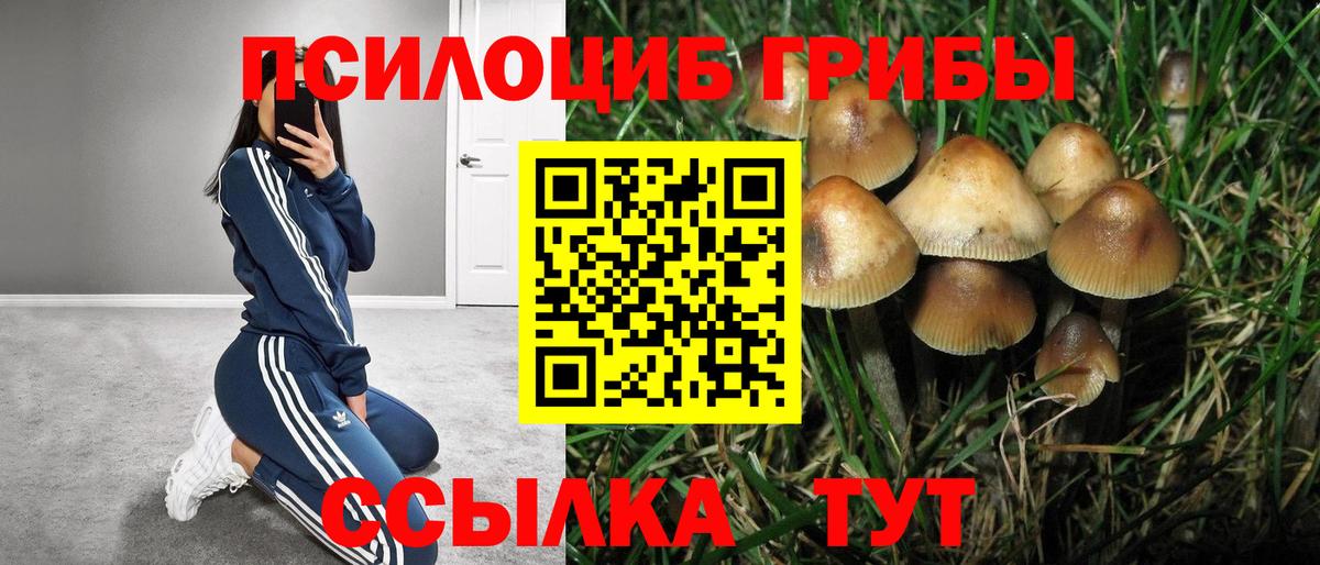 Псилоцибиновые грибы GOLDEN TEACHER  Вход с VPN  Прокопьевск 