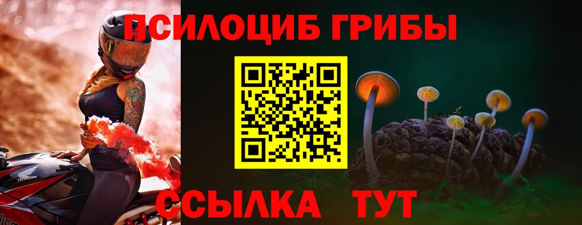 Галлюциногенные грибы Magic Shrooms Прокопьевск